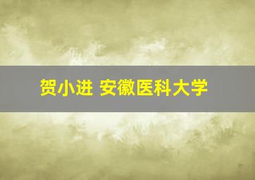 贺小进 安徽医科大学